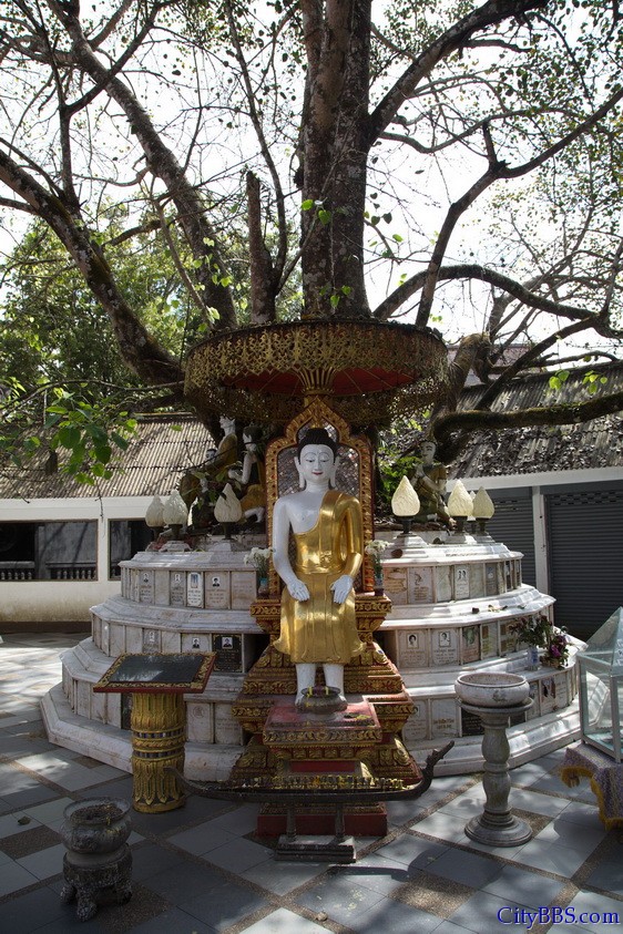 CHIANGMAI_2011__149.jpg