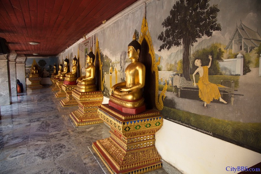 CHIANGMAI_2011__152.jpg