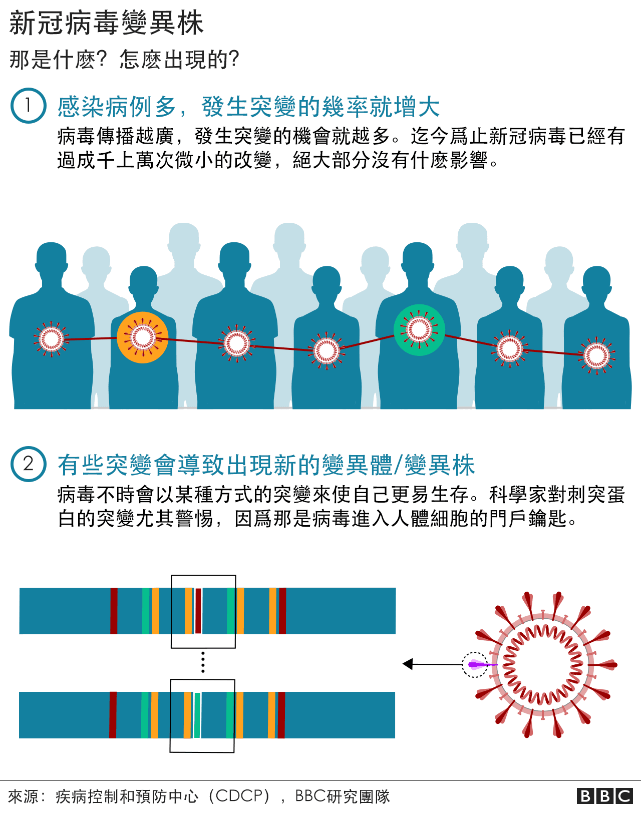 变异毒株如何出现的 变异毒株如何出现的