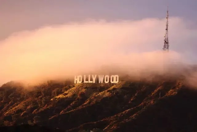 Holly Wood